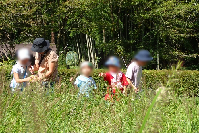 あっ!あそこにいるよ