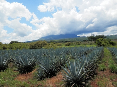 LqMA075YL430rsIgKRGV.jpg?w=940&h=940