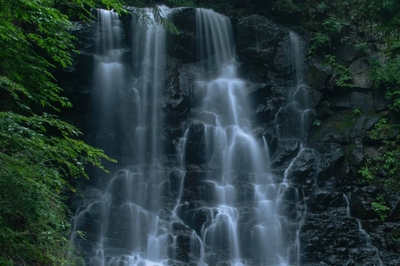 Lqarmc1qhGmm3ROh3on0.jpg?w=940&h=940