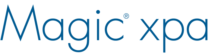 ローコード開発ツール「Magic xpa」