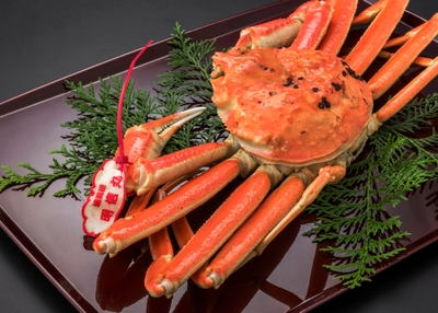 タグ付き　山陰松葉カニ