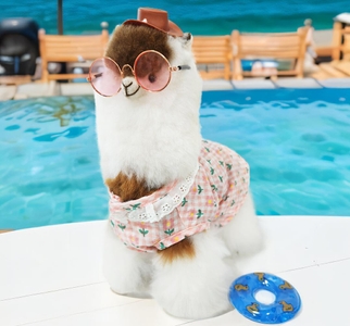 LsFUzA0V3bbBKsnUasZ3.jpg?w=940&h=940