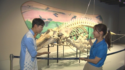 LsQVD1HRXS23ur5CmfoT.jpg?w=940&h=940