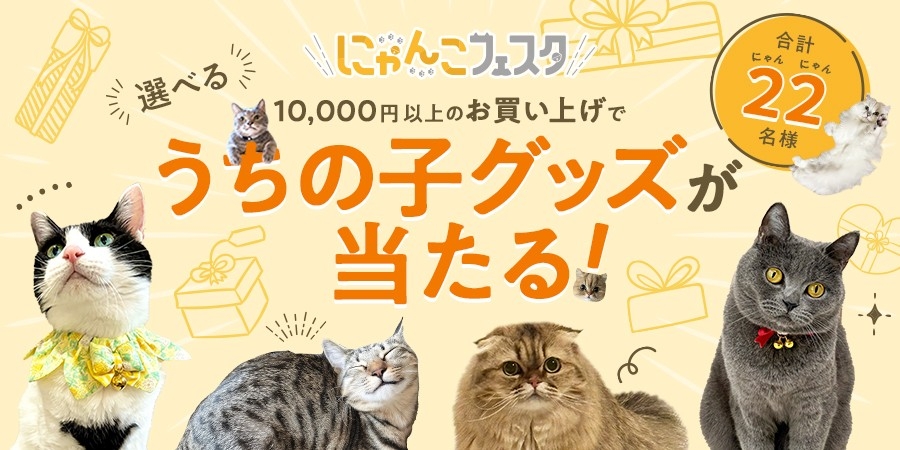 2/25まで】2月のペピイは猫まみれ！？「PEPPYにゃんこフェスタ」を開催