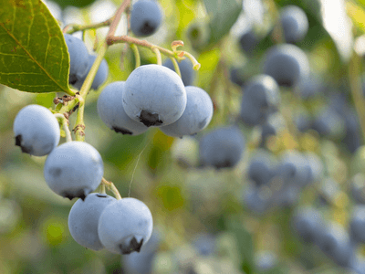 LuVZIJWfNCoH8O5wXHrv.png?w=940&h=940