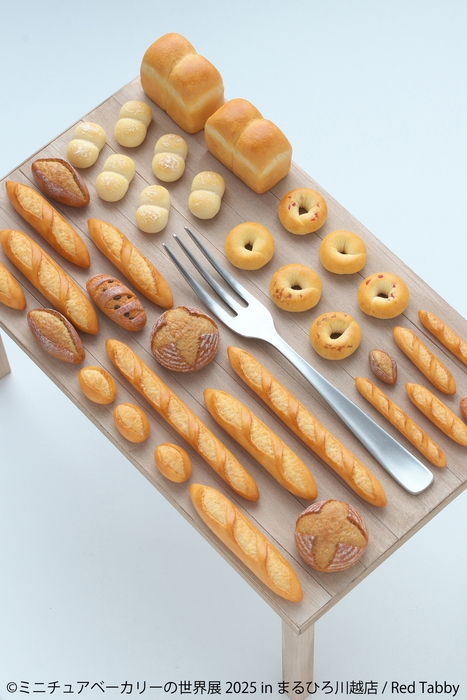 展示作品:Red Tabby(1)