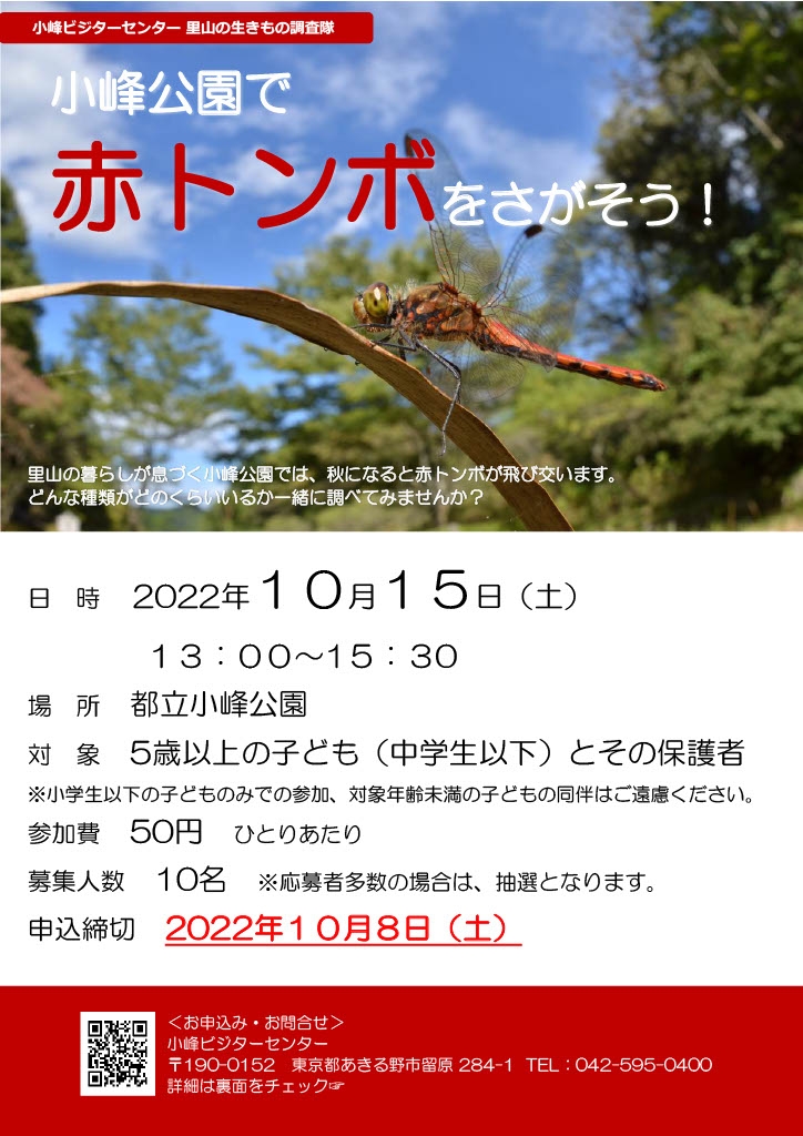 案内チラシ(表)