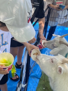 LxZ9A0aq0fZnvWG5FGMn.jpg?w=940&h=940