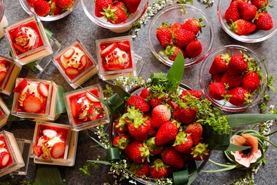 フレッシュいちごの食べ比べ