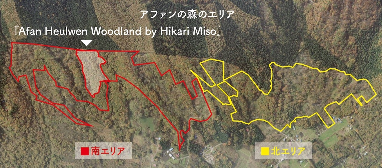 アファンの森のエリアと『『 Afan Heulwen Woodland by Hikari Miso 』の位置図