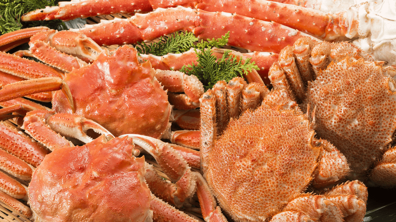 ふるさと納税でもらえる「北海道の蟹(カニ)」大容量コスパランキングを発表|1万円の寄付で1kgのズワイガニも