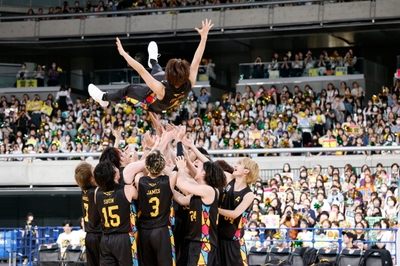 M0S313OLeE2nbonkoVST.jpg?w=940&h=940