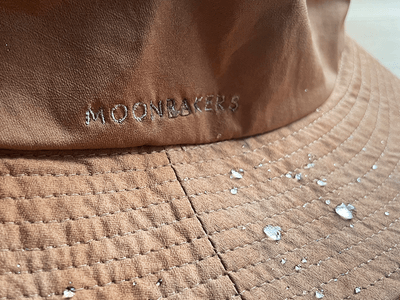 M0jldCXciAbD8r6CjrtY.png?w=940&h=940