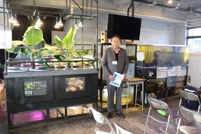 アクアポニックス装置。右側の水槽でタマカイを飼育し、その排出物でバナナを水耕栽培（左側）