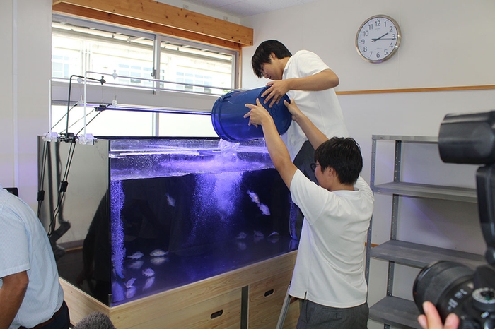好適環境水の大型水槽にメバルを入れる生徒たち