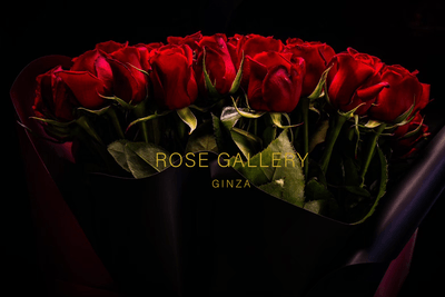 M2Solpx0RURFDTNMwyRN.png?w=940&h=940