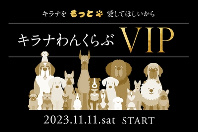 M2kSrym7NoAwlsMhAKx5.jpg?w=940&h=940