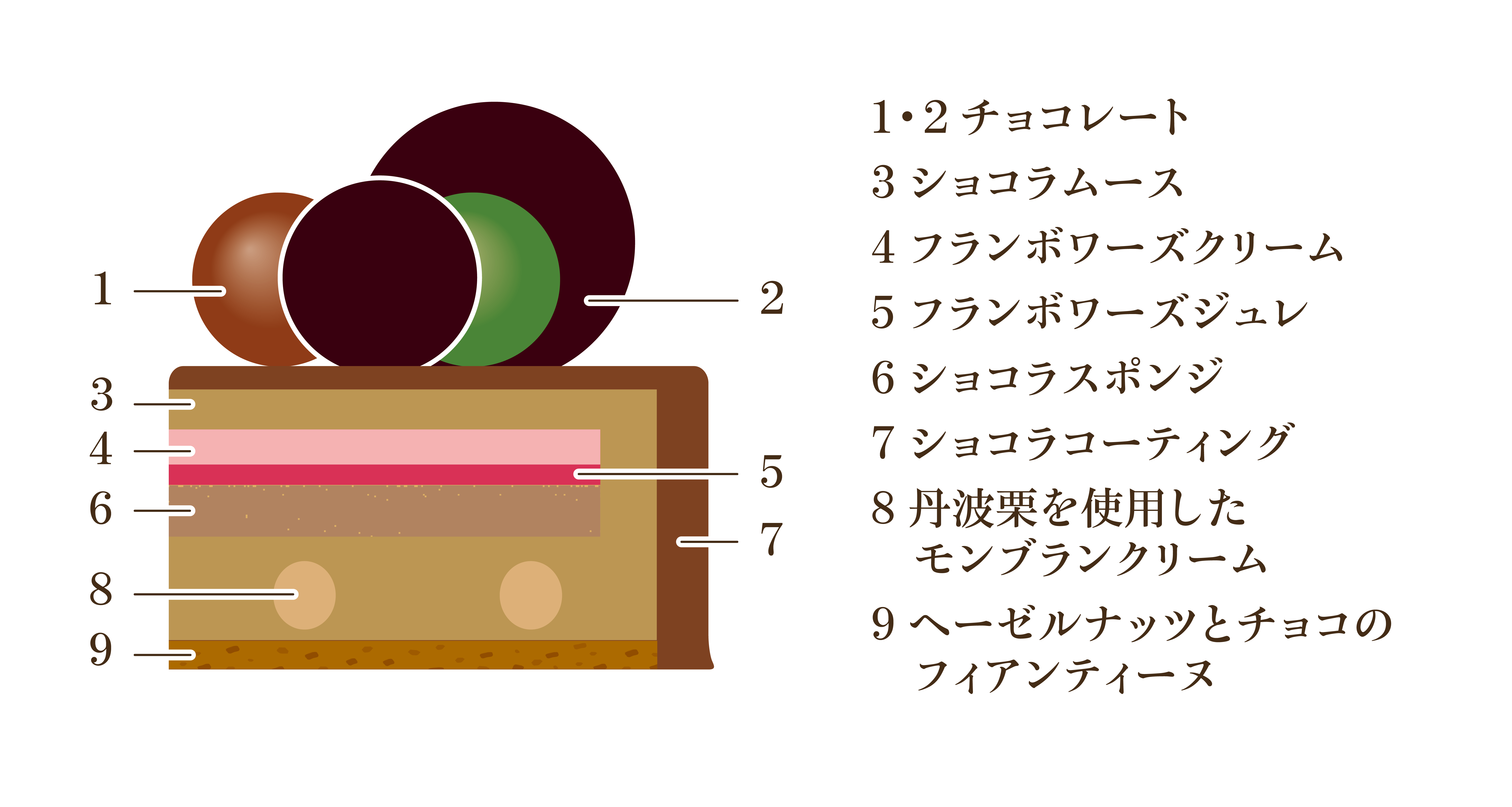 ノエルショコラフランボワーズ/断面図
