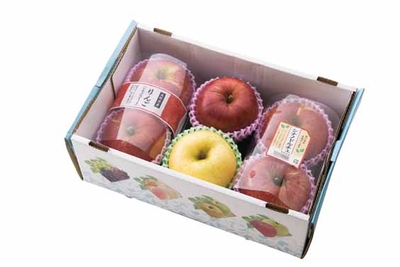 M4ScdihDh2mlXRJ8HWqm.jpg?w=940&h=940