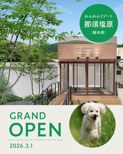 M4yxRkhiJy5szQB70P5G.jpg?w=940&h=940