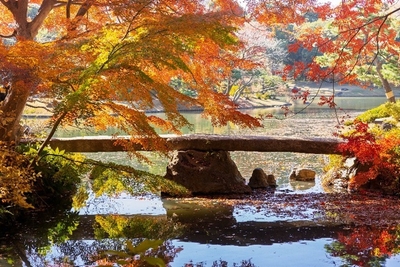 渡月橋（昨年11月下旬頃の様子）
