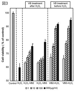 酸化ストレス測定:細胞生存率(図3)