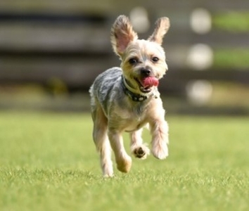 M7oItz3xAuxf4hDuknD5.jpg?w=940&h=940