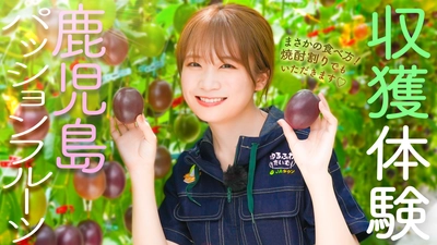 秋元真夏さんが鹿児島県でパッションフルーツを収穫！ ＹｏｕＴｕｂｅ番組「ゆるふわたいむ」 生産者直伝の「パッションフルーツ焼酎割り」も体験