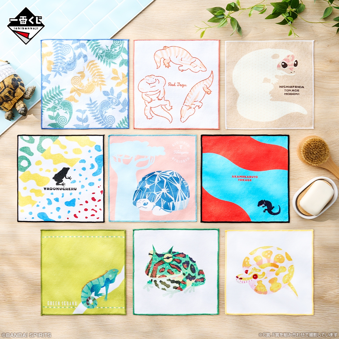 F賞:タオルコレクション(イメージ1)