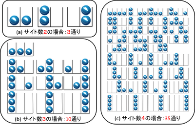 図1：サイト数と状態の数
