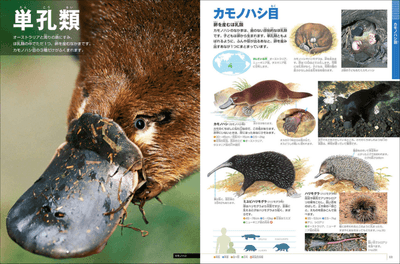 M9ABcvmzxejfImPLS3r1.png?w=940&h=940