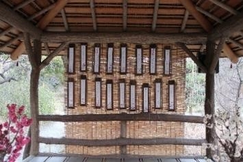 梅を詠む（過年度の様子）