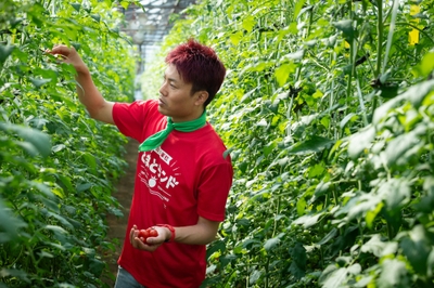 M9nlL9lxwKmMEvXyPAln.jpg?w=940&h=940