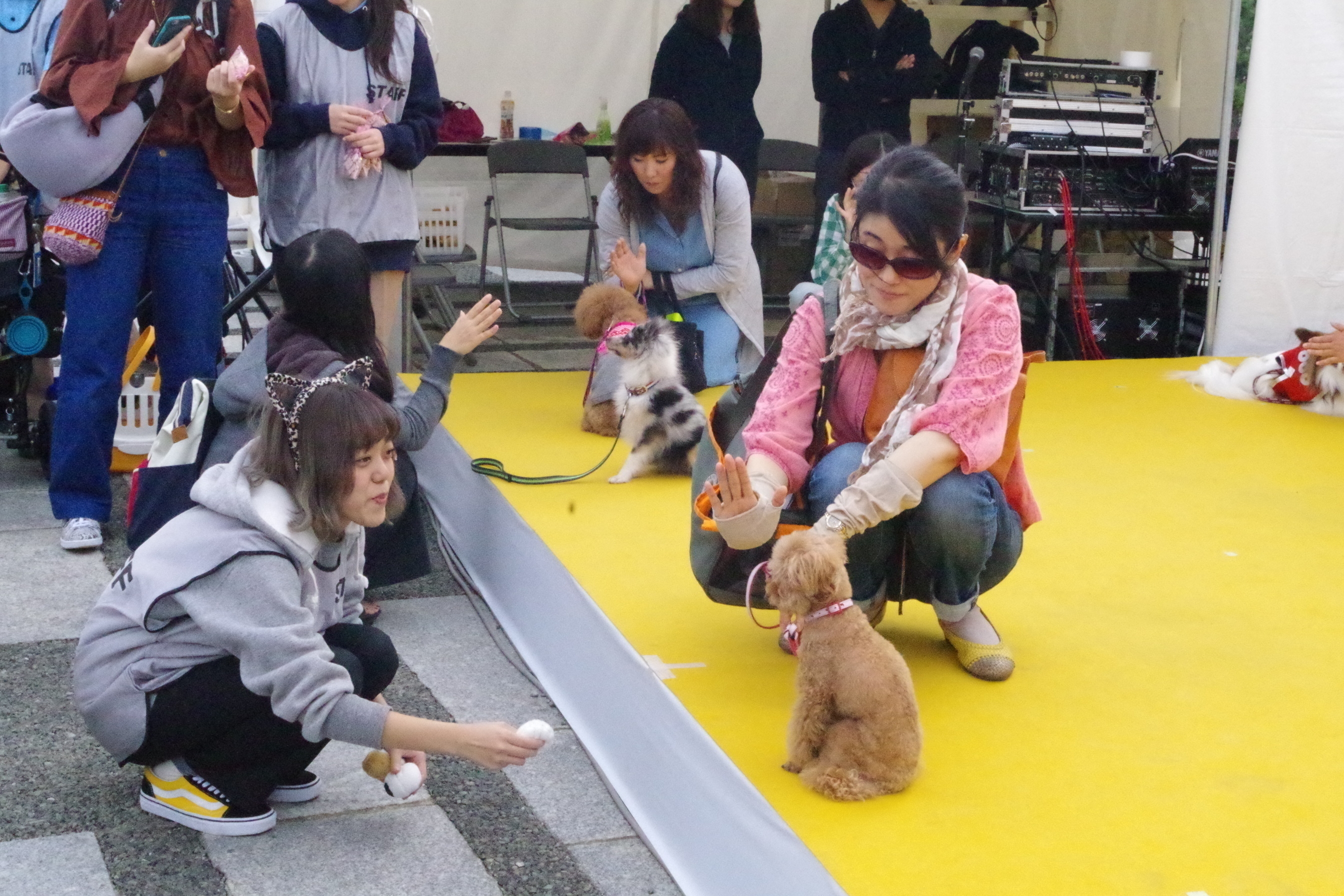都心最大規模のワンちゃんイベント！ 「駒沢公園わんわんカーニバル