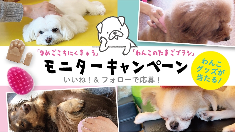 わんちゃんともっと仲良く～わんこ商品～モニターキャンペーン