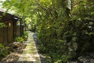 MAHqe8iKJl0jpcBEBreJ.jpg?w=940&h=940