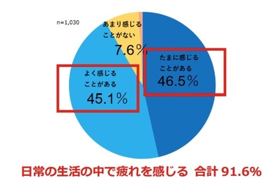 MAeqDbp193t79ctfFXrq.jpeg?w=940&h=940