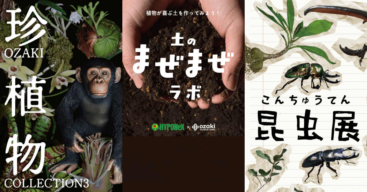 夏休みはオザキフラワーパークへ！珍植物・昆虫・爬虫類・植物あそびが集結する「夏の自然体験イベント」を7月25日より開催