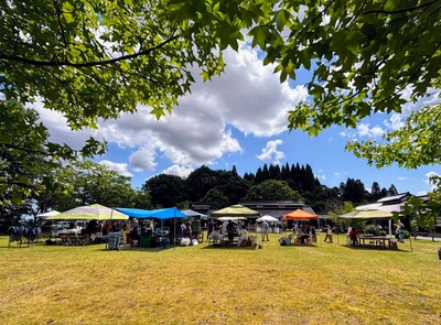 MBO8KoW9bQo0C90qPv5P.jpg?w=940&h=940