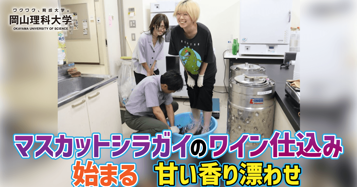 Mbqunnmvig6wdt4hinx9