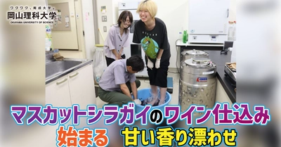 【岡山理科大学】マスカットシラガイのワイン仕込み始まる／甘い香り漂わせ