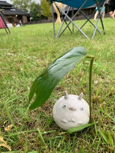 MDJNNiylOx640qe5IFuR.jpg?w=940&h=940