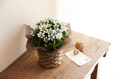 MDebTiuknaYKI32kC8jL.jpg?w=940&h=940