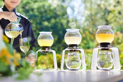 新茶利き茶体験