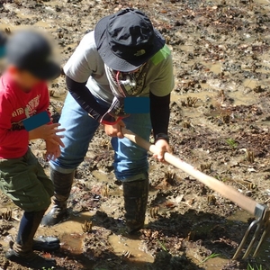 MFRkjX4cOqAJZhoulgMi.JPG?w=940&h=940