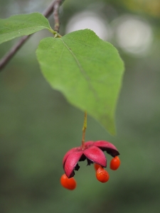 MFyHOZUV5k2uJi3eYy3a.jpg?w=940&h=940