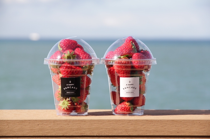 「幸せのいちご農園の摘みたていちご」 1パック600円(税別)