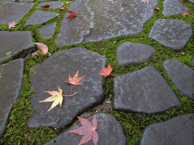 MGWWMJ7cvT8apZqZEqaN.jpeg?w=940&h=940