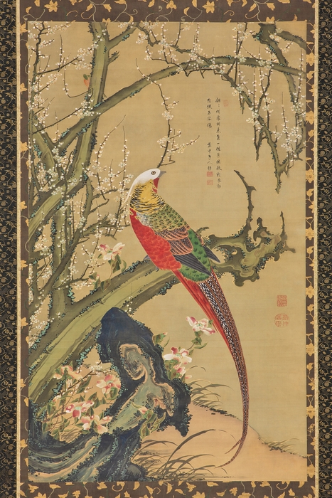 「白梅錦鶏図」展示:10/11~29
