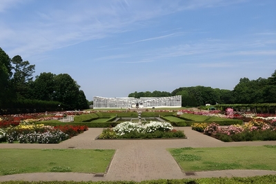 MHn0hRuUm1oAc1acM2VR.jpeg?w=940&h=940